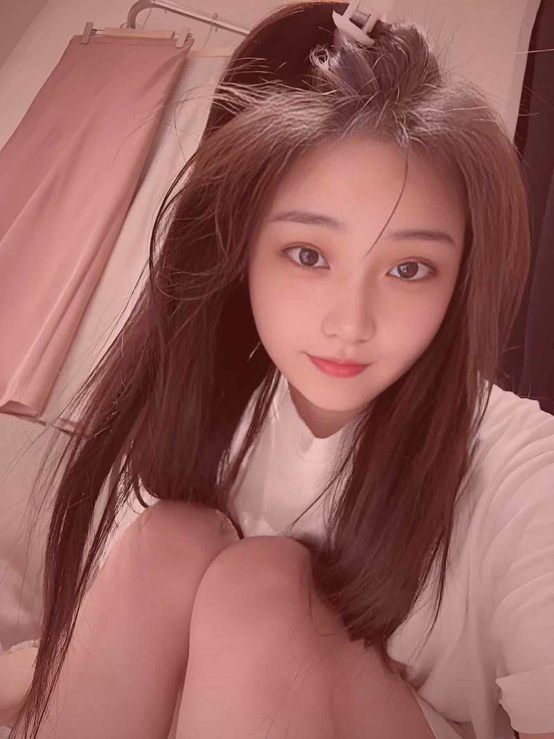 极地冰原上北极熊母子行走的航拍画面